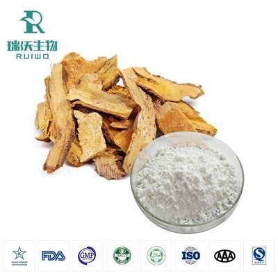 Extrato de Knotweed Gigante