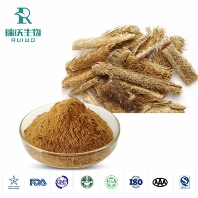 Extrato de Ginseng Siberiano